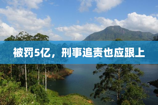 被罚5亿，刑事追责也应跟上