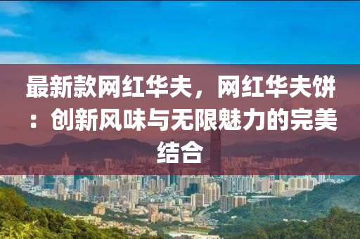 最新款网红华夫，网红华夫饼：创新风味与无限魅力的完美结合