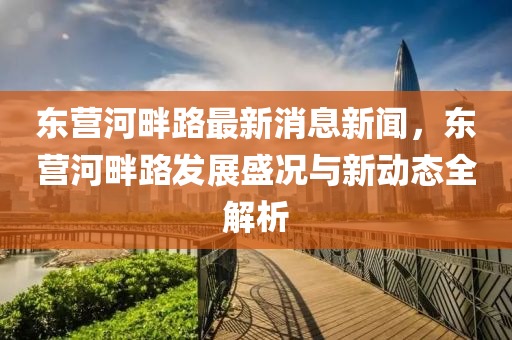 东营河畔路最新消息新闻，东营河畔路发展盛况与新动态全解析
