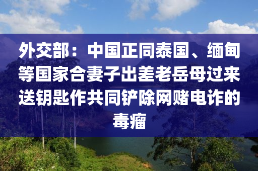 外交部：中国正同泰国、缅甸等国家合妻子出差老岳母过来送钥匙作共同铲除网赌电诈的毒瘤