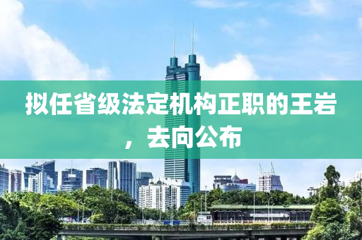 拟任省级法定机构正职的王岩，去向公布
