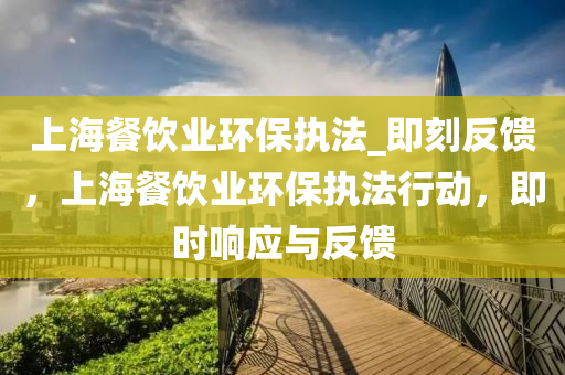 上海餐饮业环保执法_即刻反馈，上海餐饮业环保执法行动，即时响应与反馈