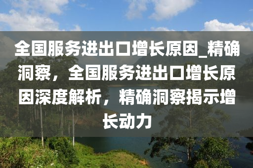 全国服务进出口增长原因_精确洞察，全国服务进出口增长原因深度解析，精确洞察揭示增长动力