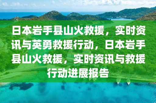 日本岩手县山火救援，实时资讯与英勇救援行动，日本岩手县山火救援，实时资讯与救援行动进展报告