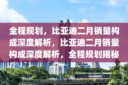 全程规划，比亚迪二月销量构成深度解析，比亚迪二月销量构成深度解析，全程规划揭秘