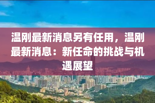 温刚最新消息另有任用，温刚最新消息：新任命的挑战与机遇展望