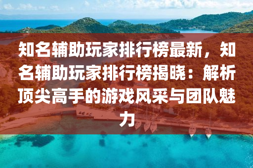 知名辅助玩家排行榜最新，知名辅助玩家排行榜揭晓：解析顶尖高手的游戏风采与团队魅力