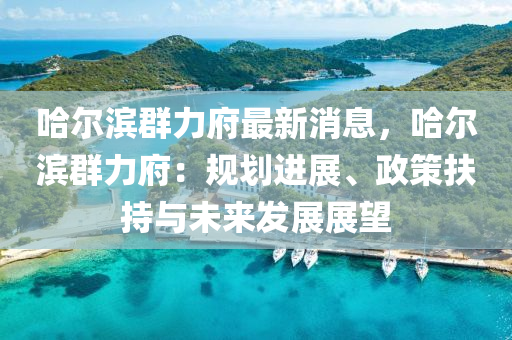 哈尔滨群力府最新消息，哈尔滨群力府：规划进展、政策扶持与未来发展展望