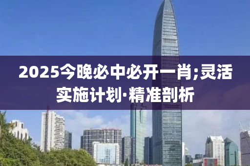 2025今晚必中必开一肖;灵活实施计划·精准剖析