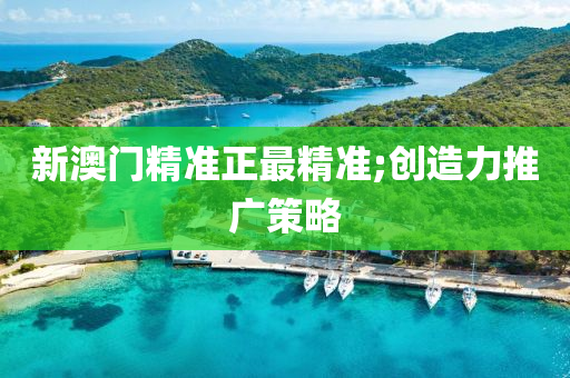 新澳门精准正最精准;创造力推广策略