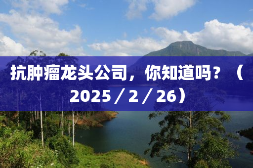 抗肿瘤龙头公司，你知道吗？（2025／2／26）