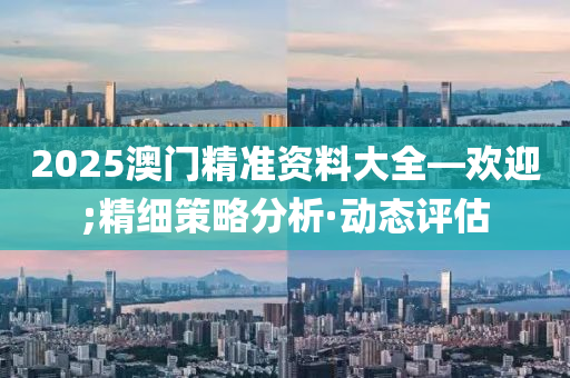 2025澳门精准资料大全—欢迎;精细策略分析·动态评估