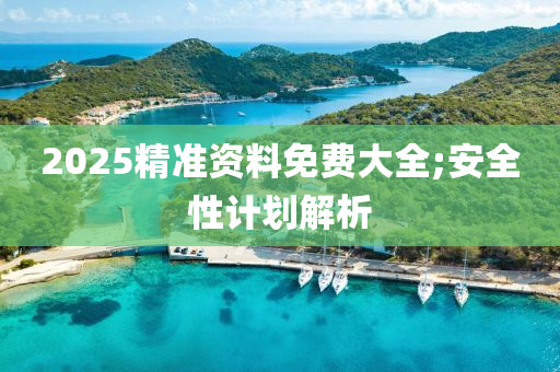 2025精准资料免费大全;安全性计划解析