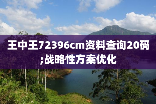 王中王72396cm资料查询20码;战略性方案优化