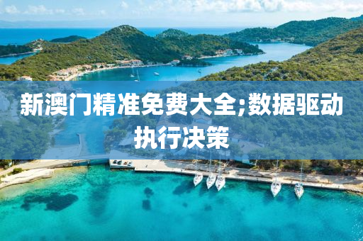 新澳门精准免费大全;数据驱动执行决策