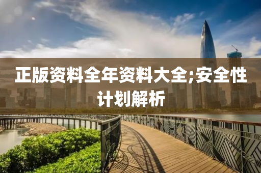 正版资料全年资料大全;安全性计划解析