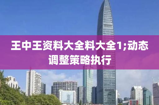 王中王资料大全料大全1;动态调整策略执行