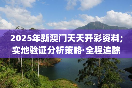 2025年新澳门天天开彩资料;实地验证分析策略·全程追踪