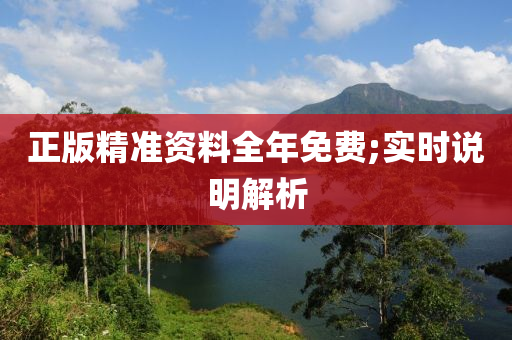 正版精准资料全年免费;实时说明解析