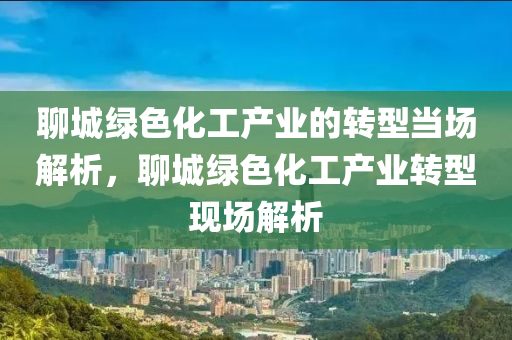 聊城绿色化工产业的转型当场解析，聊城绿色化工产业转型现场解析