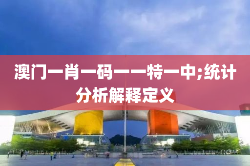 澳门一肖一码一一特一中;统计分析解释定义