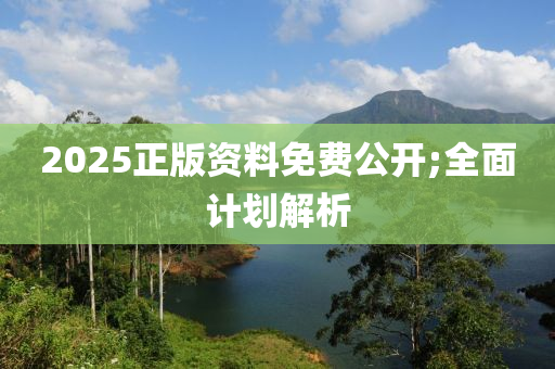 2025正版资料免费公开;全面计划解析