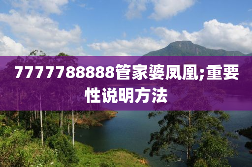 7777788888管家婆凤凰;重要性说明方法