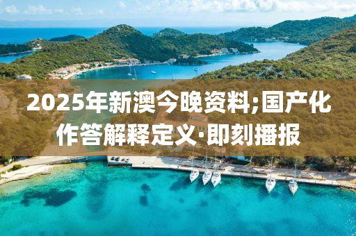 2025年新澳今晚资料;国产化作答解释定义·即刻播报