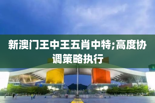 新澳门王中王五肖中特;高度协调策略执行