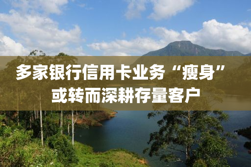 多家银行信用卡业务“瘦身” 或转而深耕存量客户