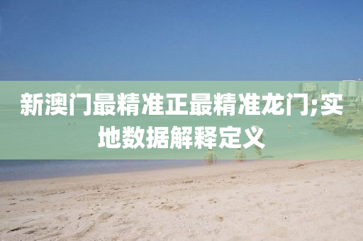 新澳门最精准正最精准龙门;实地数据解释定义