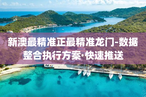 新澳最精准正最精准龙门-数据整合执行方案·快速推送