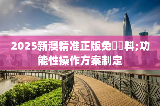 2025新澳精准正版免費資料;功能性操作方案制定