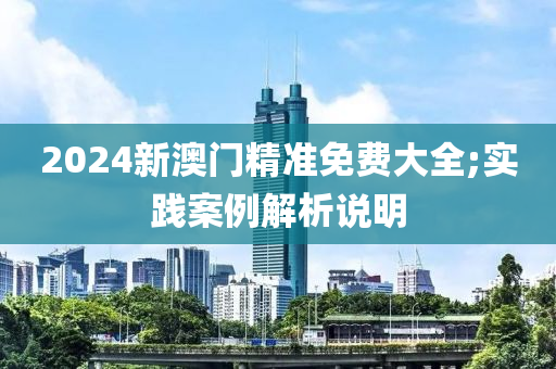 2024新澳门精准免费大全;实践案例解析说明