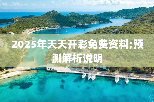 2025年天天开彩免费资料;预测解析说明
