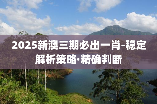 2025新澳三期必出一肖-稳定解析策略·精确判断