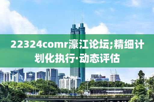 22324comr濠江论坛;精细计划化执行·动态评估