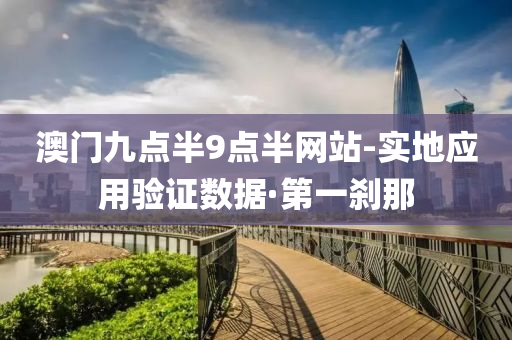澳门九点半9点半网站-实地应用验证数据·第一刹那