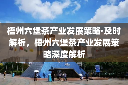 梧州六堡茶产业发展策略·及时解析，梧州六堡茶产业发展策略深度解析