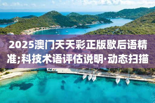 2025澳门天天彩正版歇后语精准;科技术语评估说明·动态扫描