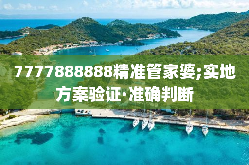 7777888888精准管家婆;实地方案验证·准确判断