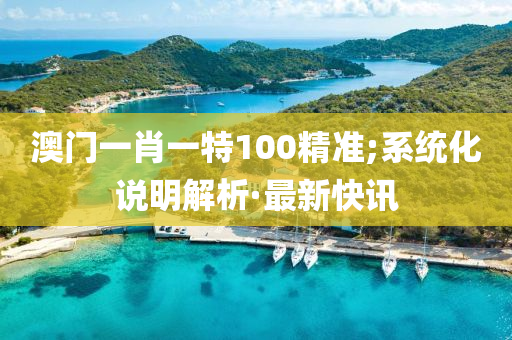 澳门一肖一特100精准;系统化说明解析·最新快讯