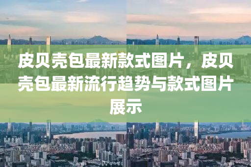 皮贝壳包最新款式图片，皮贝壳包最新流行趋势与款式图片展示
