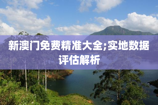新澳门免费精准大全;实地数据评估解析