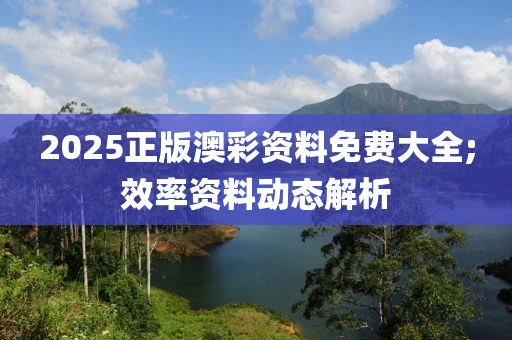 2025正版澳彩资料免费大全;效率资料动态解析