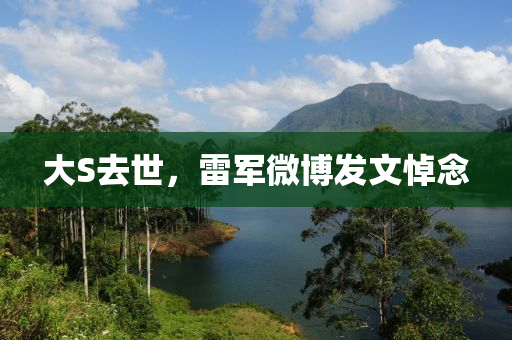 大S去世，雷军微博发文悼念
