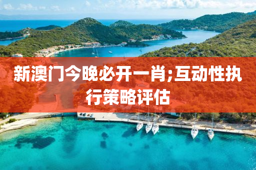 新澳门今晚必开一肖;互动性执行策略评估