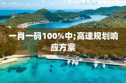 一肖一码100%中;高速规划响应方案