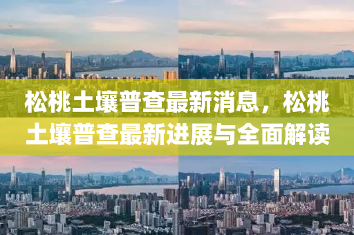 松桃土壤普查最新消息，松桃土壤普查最新进展与全面解读