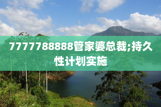 7777788888管家婆总裁;持久性计划实施